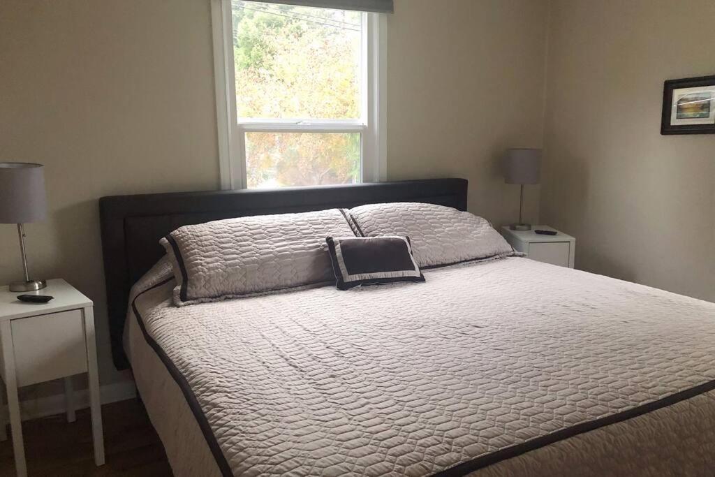 Cozy Crown Hill Carkeek Cottage W/3 Beds, Full Kitchen & Backyard In North Seattle Bagian luar foto